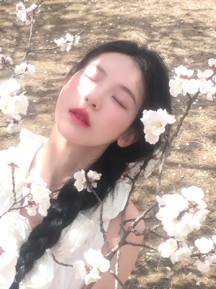 喵星人大战游戏画面